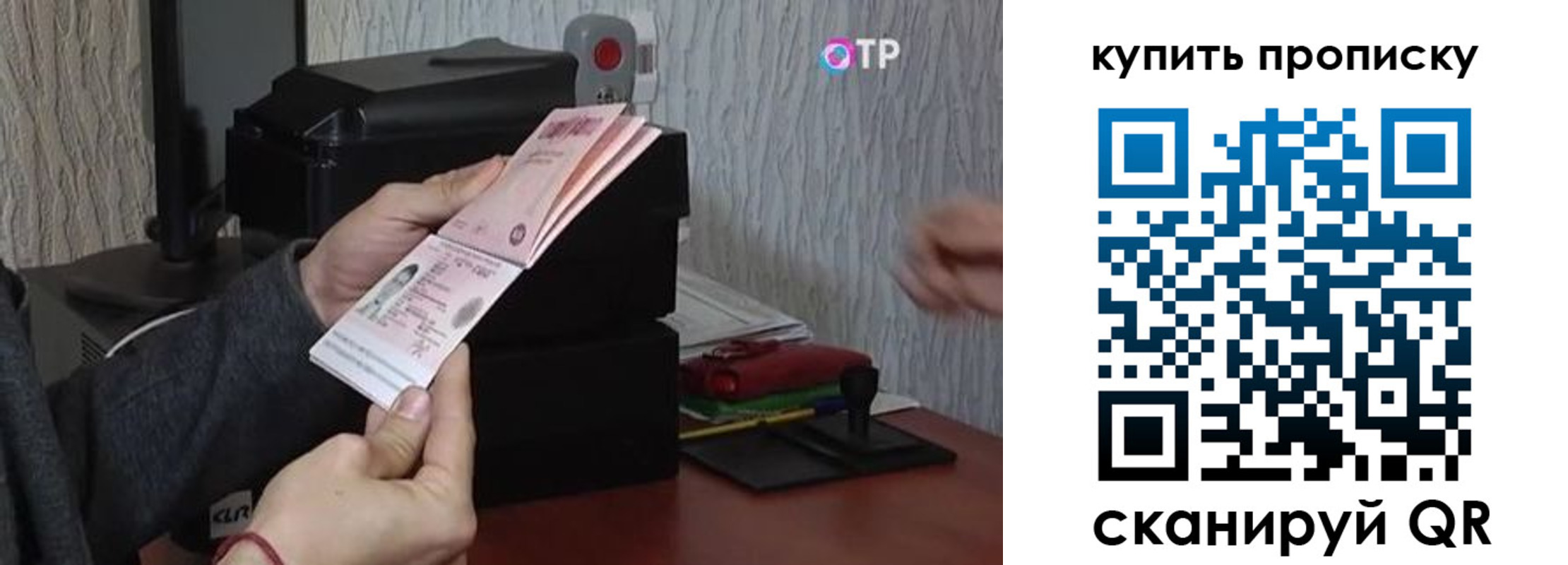 прописка гарантия в Тосно